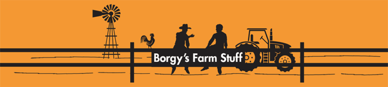 borgys banner pc 2048x463 wht text 1000px 768x174