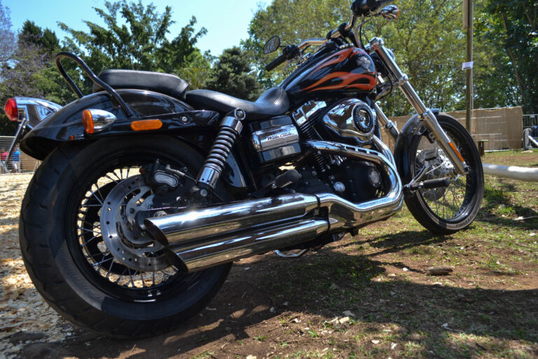 Shongweni Expo 2013 229 768x512