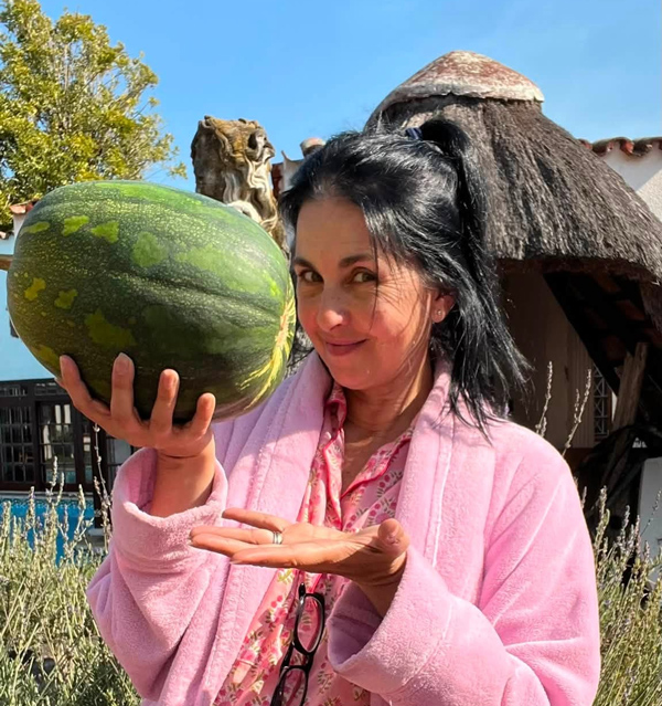 mel-veg-garden